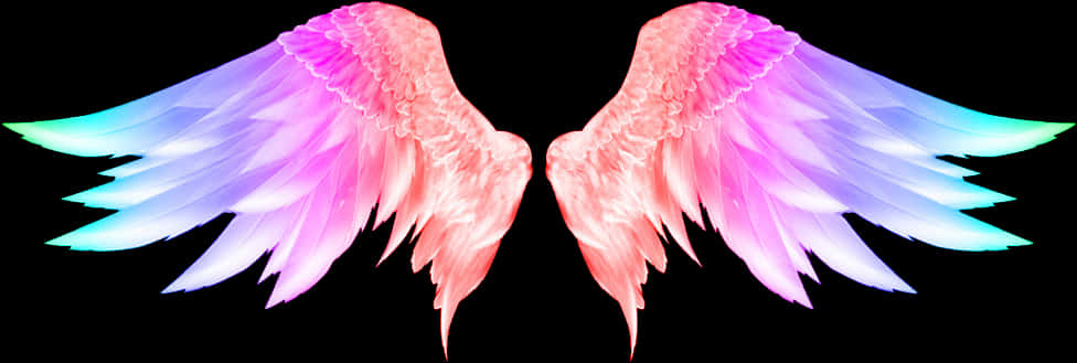 Colorful Angel Wings Graphic