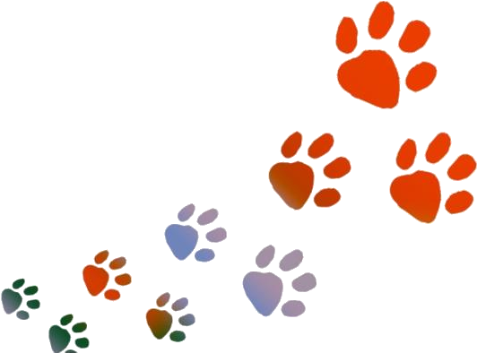 Colorful Animal Paw Prints