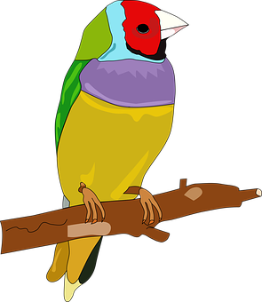 Colorful Animated Bird Perchedon Branch