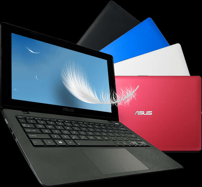 Colorful Asus Laptops Display