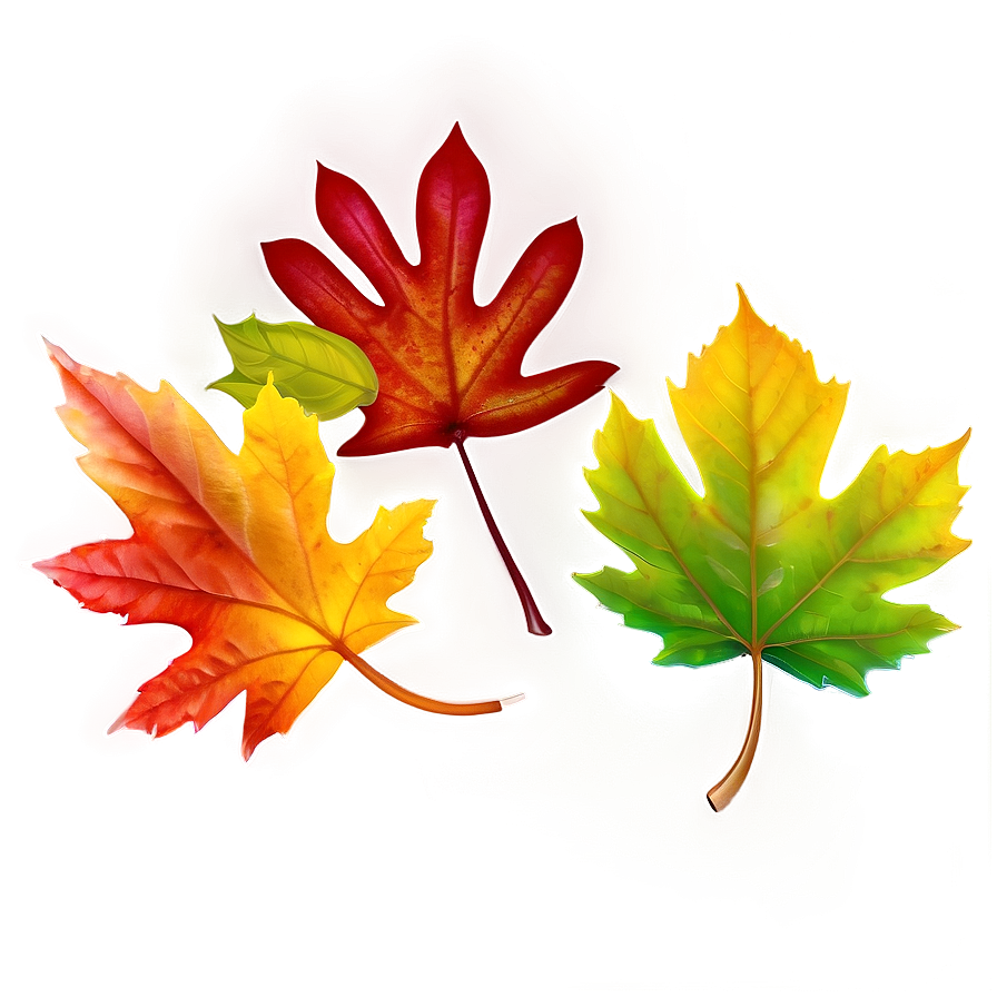 Colorful Autumn Leaves Png Ggk50