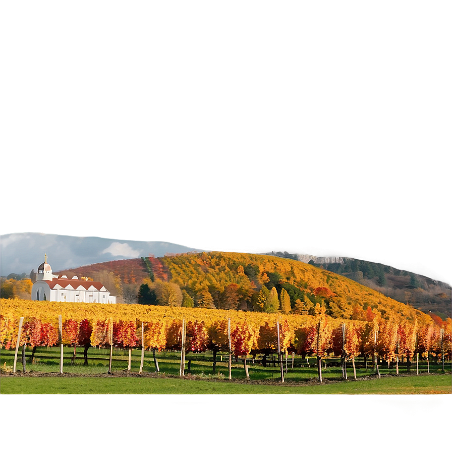 Colorful Autumn Vineyard Landscape Png 06232024