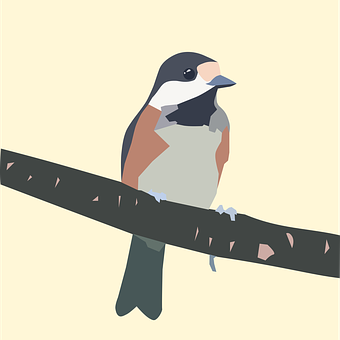 Colorful Bird Illustration PNG with transparent background