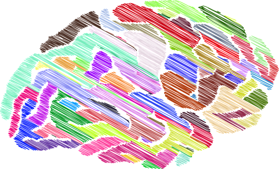 Colorful Brain Artwork PNG with transparent background