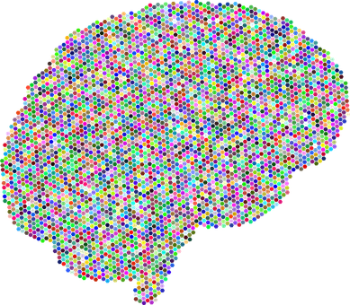 Colorful Brain Connectome Representation PNG with transparent background