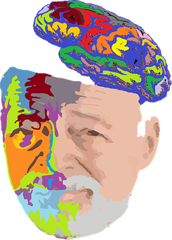 Colorful Brain Silhouette Portrait PNG with transparent background