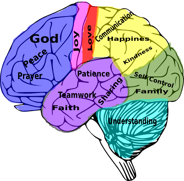 Colorful Brain Values Illustration