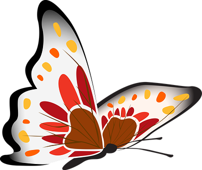 Colorful Butterfly Illustration