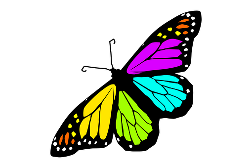 Colorful Butterfly Illustration