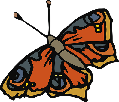 Colorful Butterfly Illustration