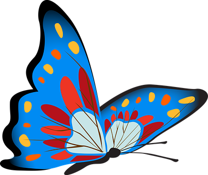 Colorful Butterfly Illustration PNG with transparent background