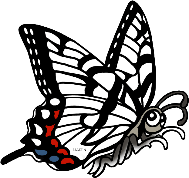 Tennessee State Butterfly - Zebra Swallowtail Butterfly Clipart, HD Png Download PNG with transparent background