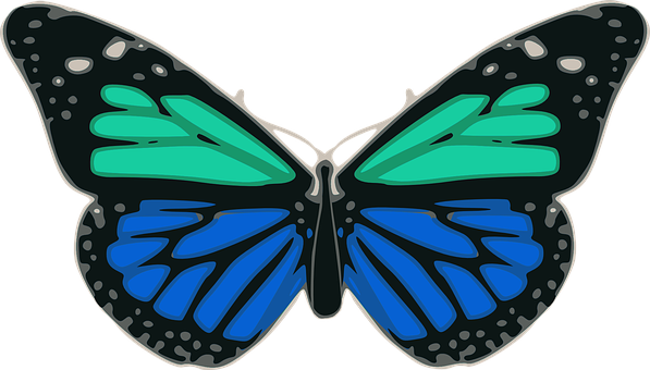 Colorful Butterfly Illustration