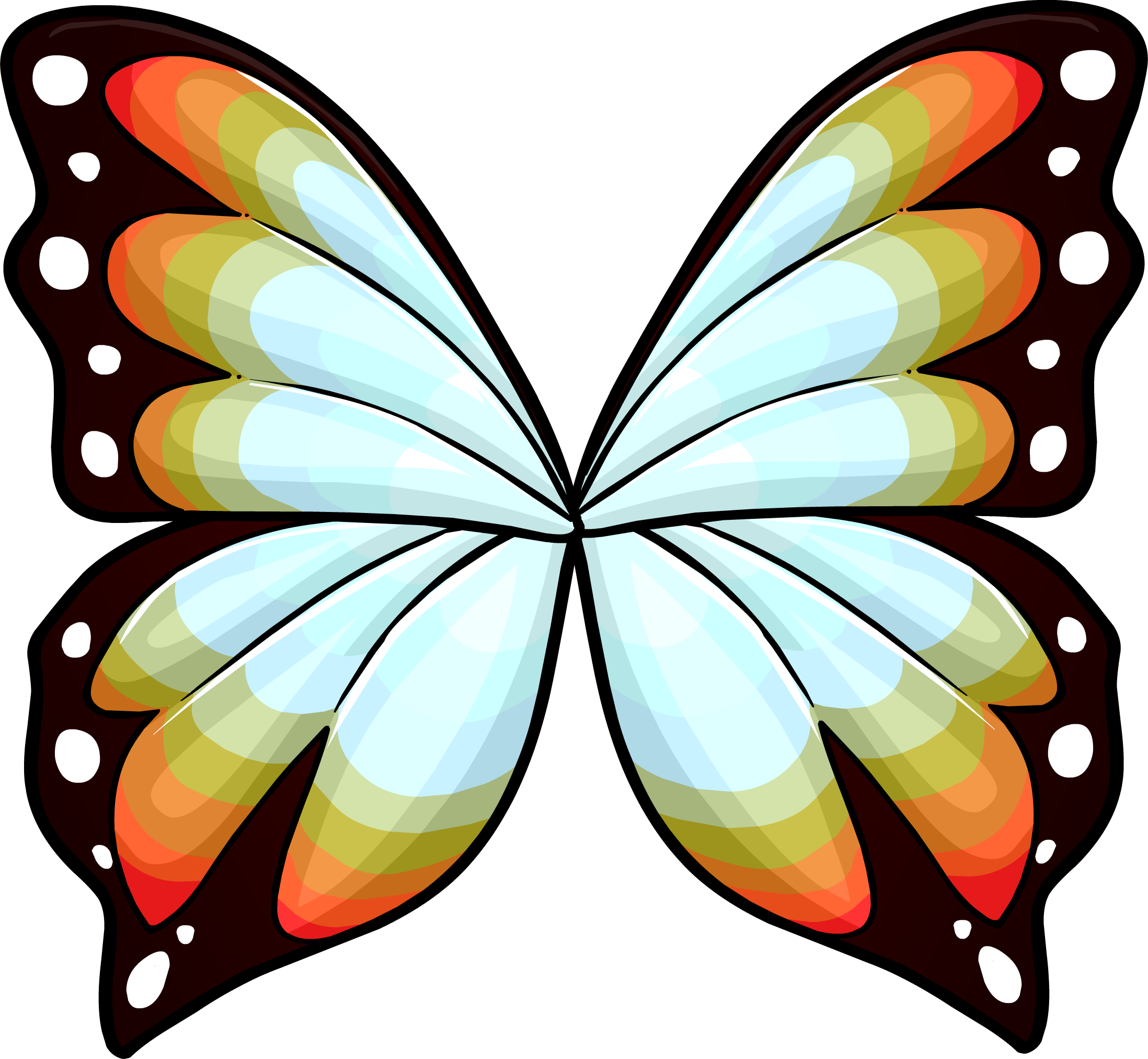 Colorful Butterfly Wings Illustration