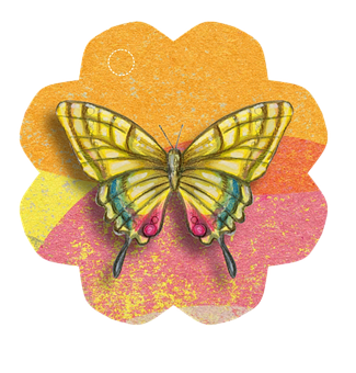 Colorful Butterflyon Flower Illustration