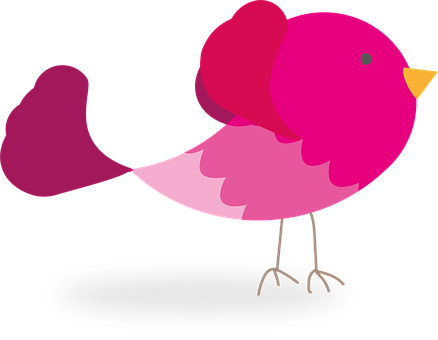 Colorful Cartoon Bird Illustration