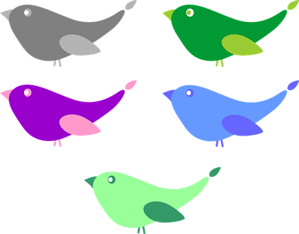 Colorful Cartoon Birds Vector