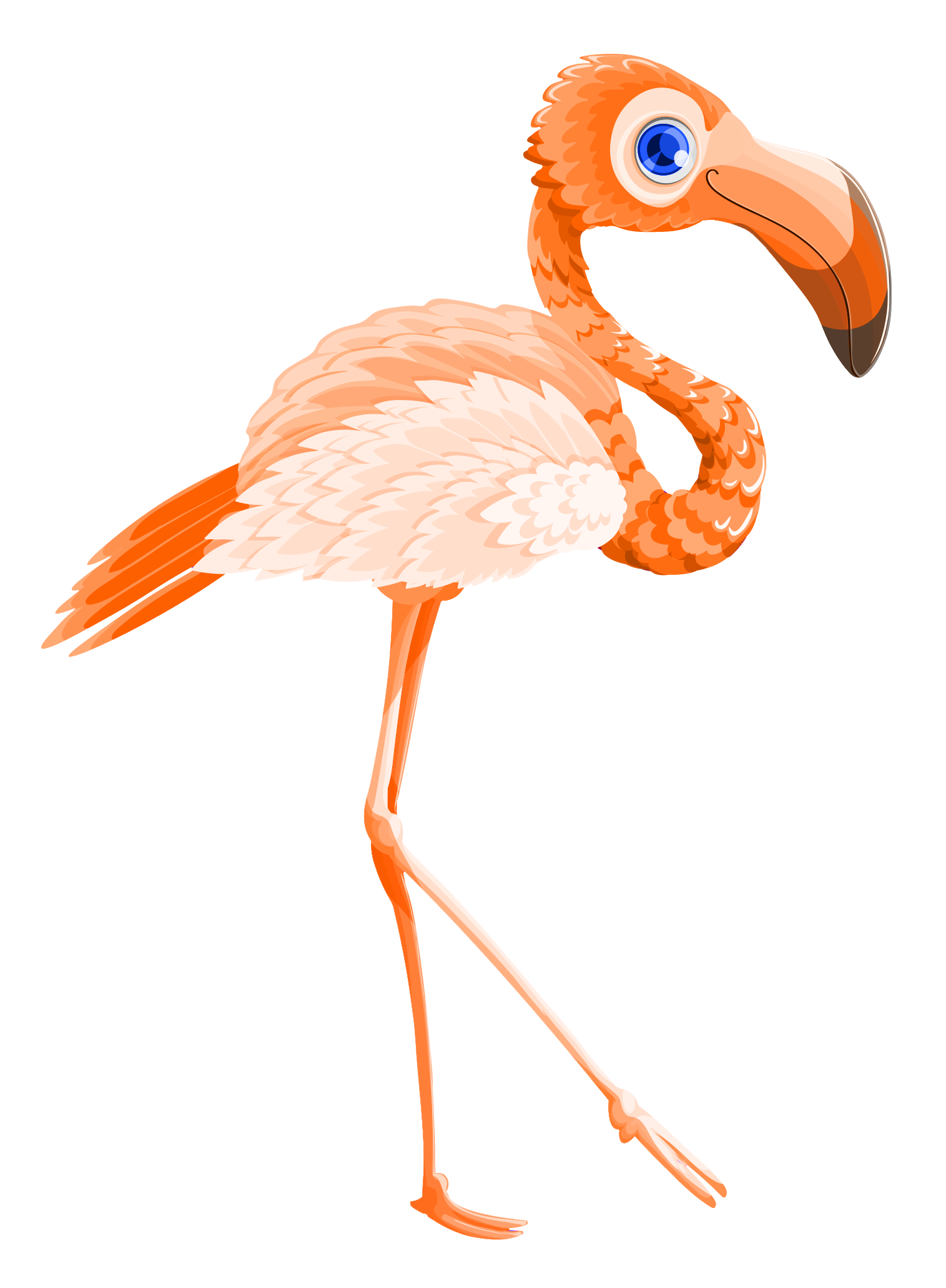 Colorful Cartoon Flamingo Standing PNG with transparent background