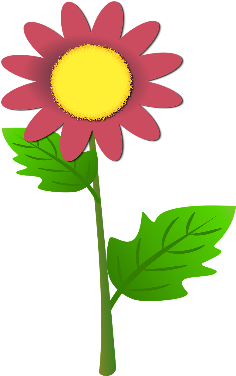 Ilustrasi Bunga Matahari, HD Png Download PNG image with a transparent background, free high-resolution download