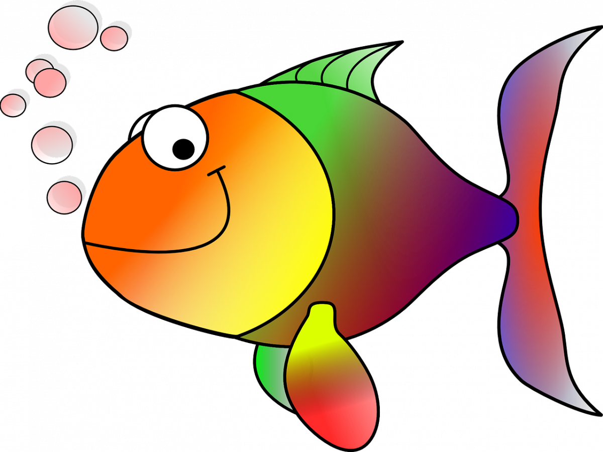 Colorful Cartoon Goldfish