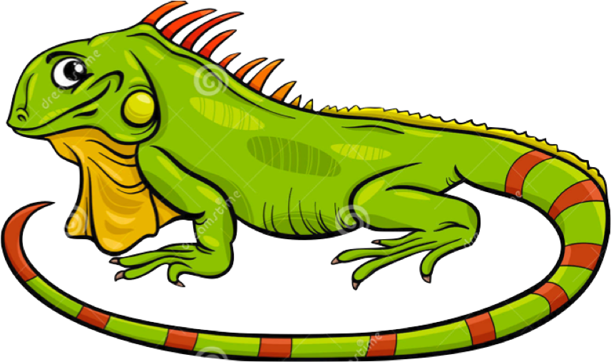 Colorful Cartoon Iguana