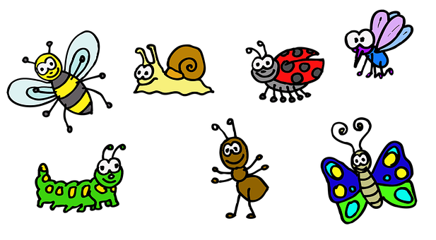 Colorful_ Cartoon_ Insects_ Collection PNG with transparent background
