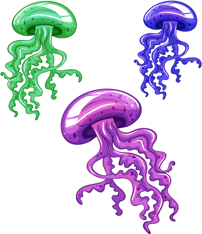 Medusa De Mar Animada, HD Png Download PNG with transparent background
