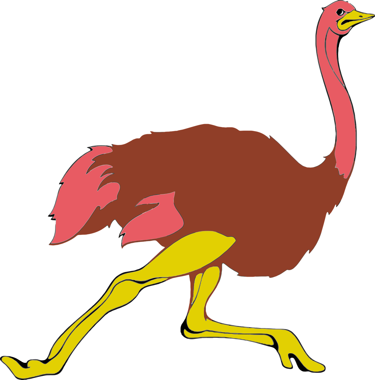 Colorful Cartoon Ostrich