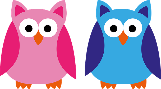 Colorful Cartoon Owls Illustration PNG with transparent background