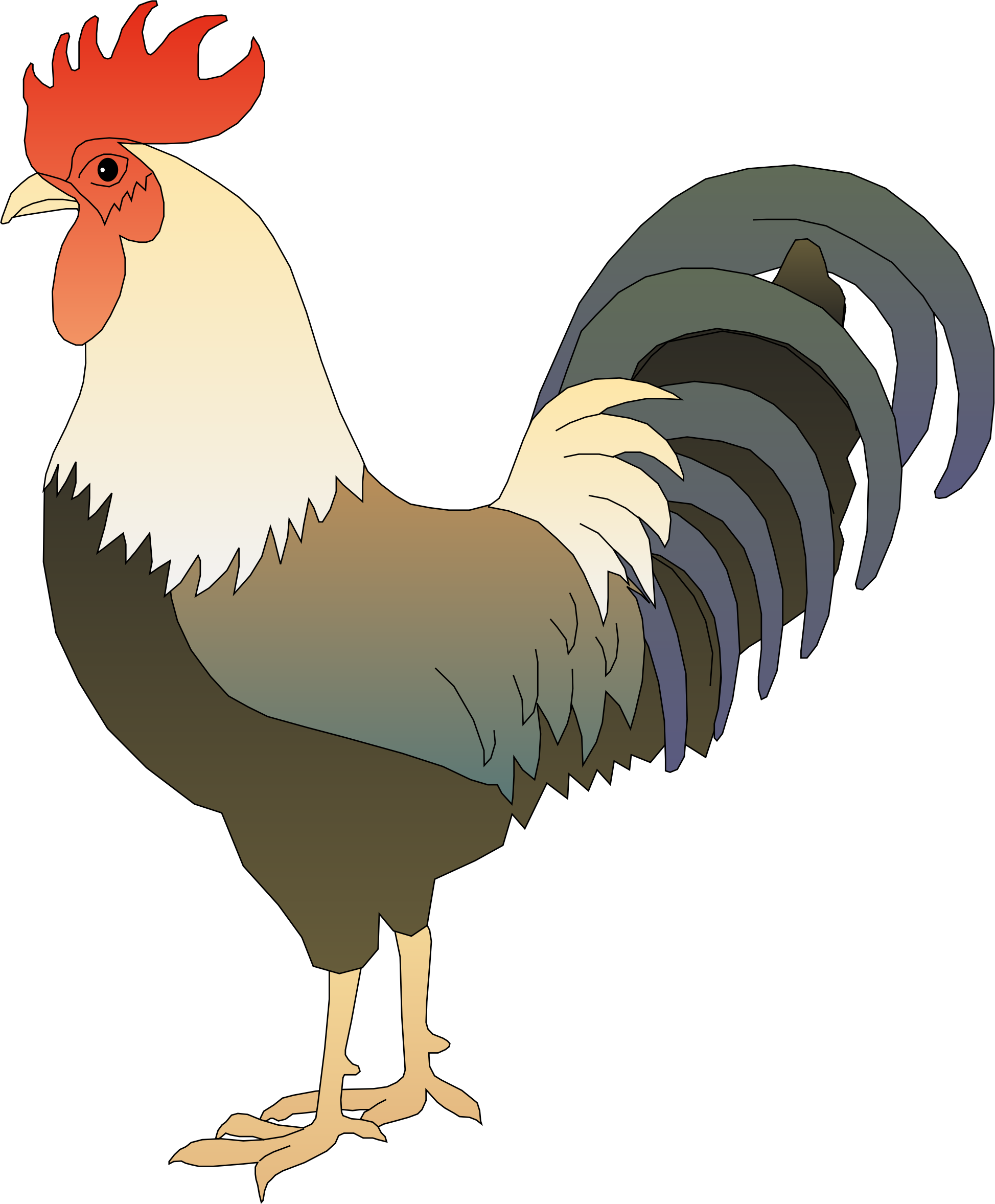 Colorful Cartoon Rooster Illustration