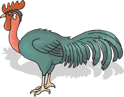 Colorful Cartoon Rooster Illustration PNG with transparent background