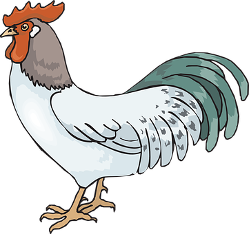 Colorful Cartoon Rooster Illustration PNG with transparent background
