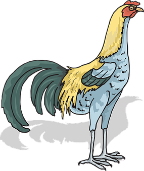 Colorful Cartoon Rooster Illustration PNG with transparent background