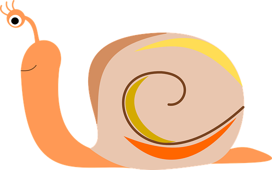 Colorful Cartoon Snail PNG image with a transparent background, free high-resolution download