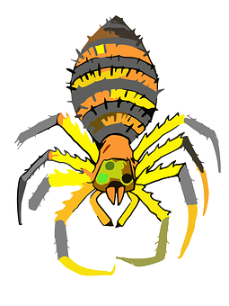 Colorful Cartoon Spider PNG with transparent background