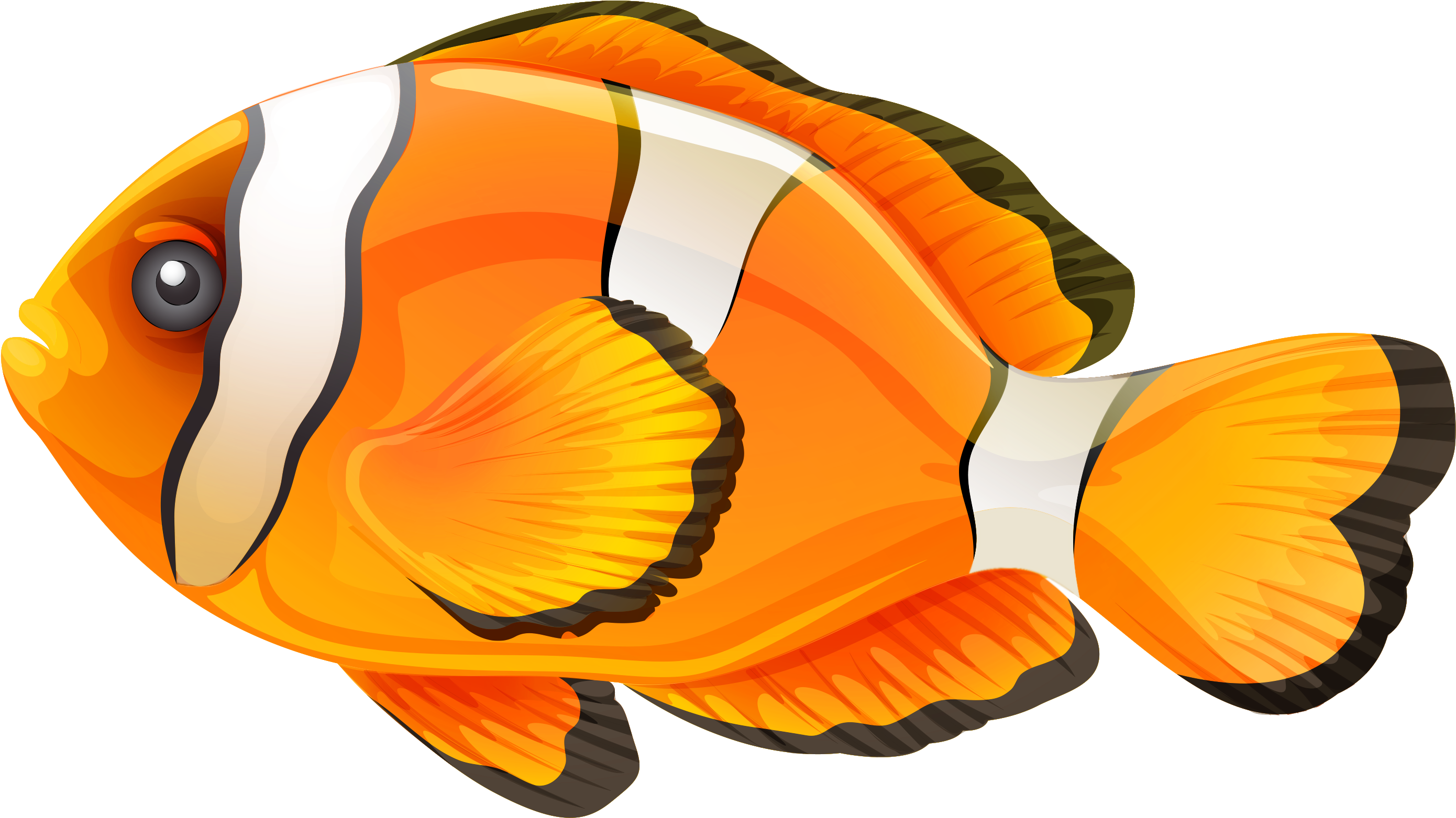 Colorful Clownfish Illustration