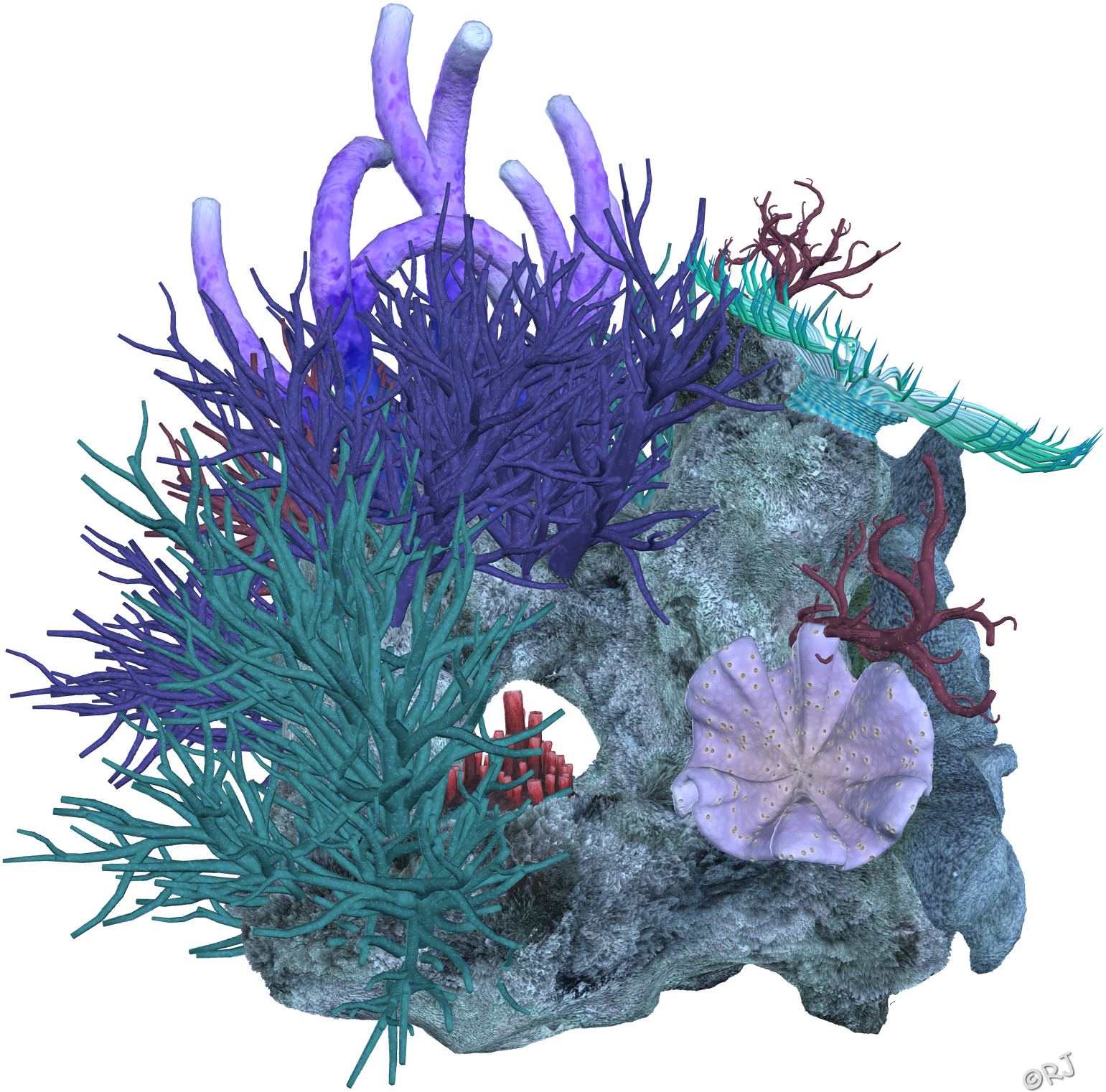 Colorful Coral Reef Illustration