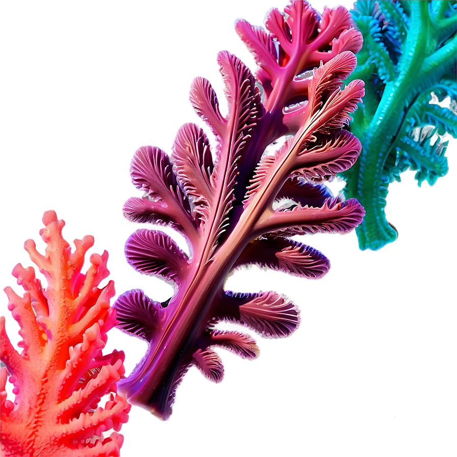 Colorful Coral Reef Seaweed Png Pec6