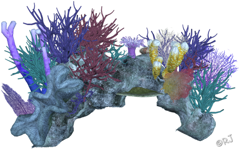 Decor Coral Invertebrate Aquarium Reef Invertebrates - Coral Reef Transparent Background, HD Png Download PNG with transparent background