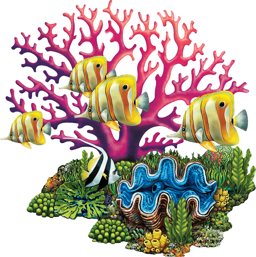 Porc-cr82 Coral Reef Copy - Cartoon Transparent Coral Reef, HD Png Download PNG with transparent background