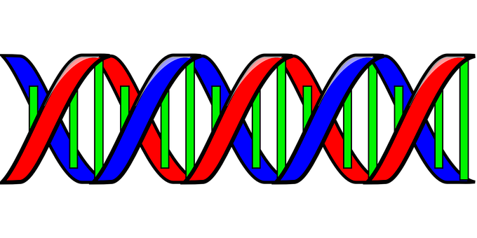 Colorful D N A Double Helix Illustration PNG image with a transparent background, free high-resolution download