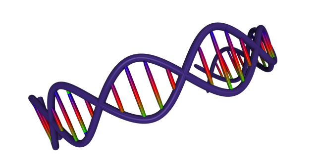 Colorful D N A Double Helix Structure