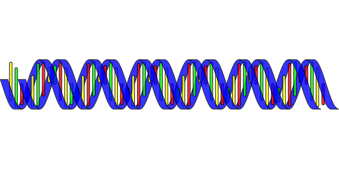 Colorful D N A Double Helix Structure PNG with transparent background