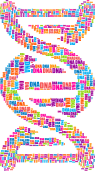 Colorful D N A Strand Word Cloud PNG image with a transparent background, free high-resolution download