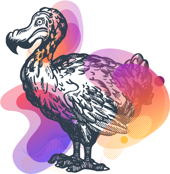 Colorful Dodo Artwork