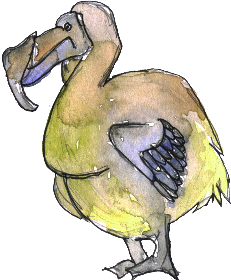 Colorful Dodo Bird Illustration