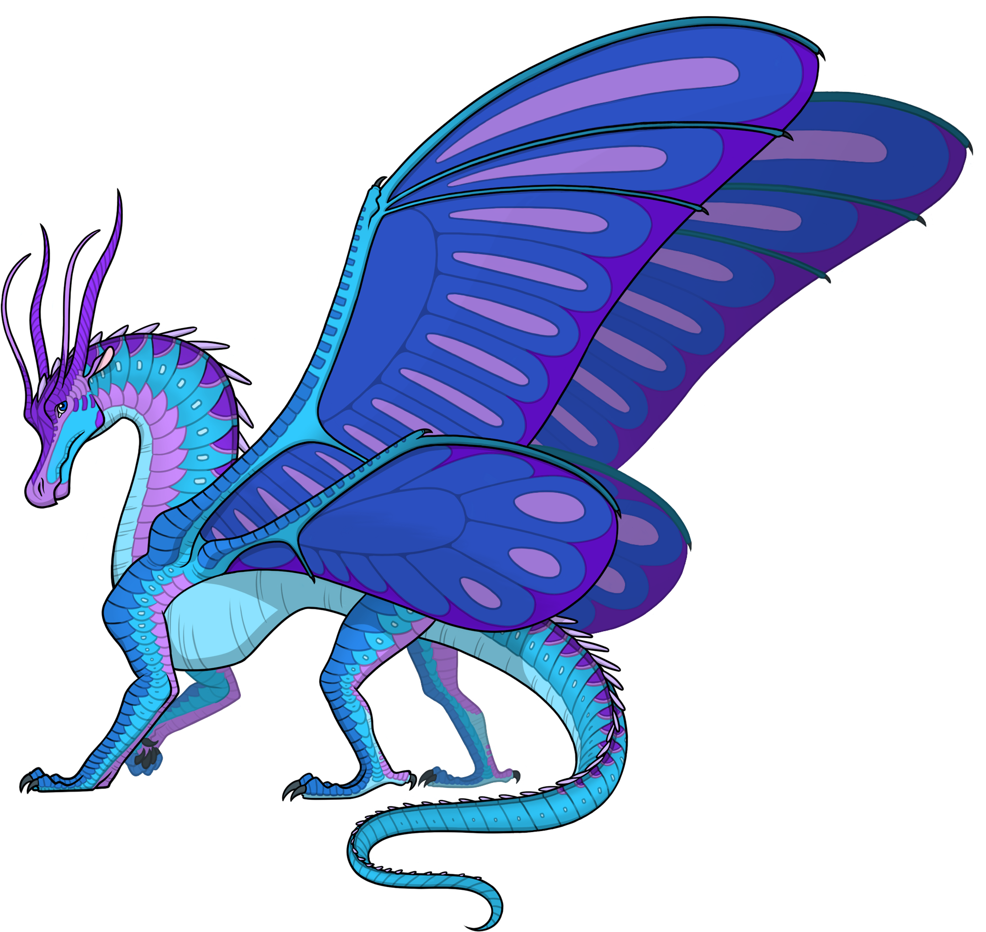 Colorful Dragon Illustration Wings Of Fire