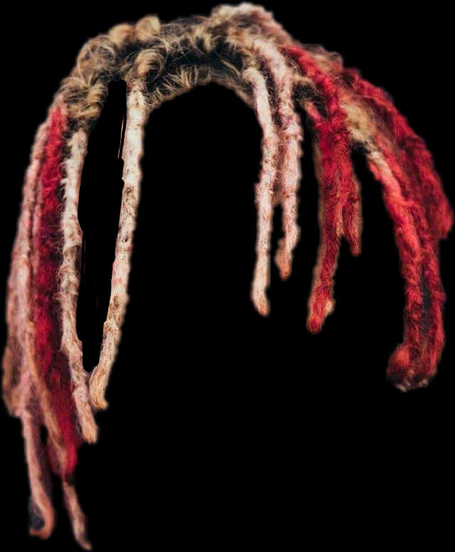 Colorful Dreadlocks Isolatedon Black