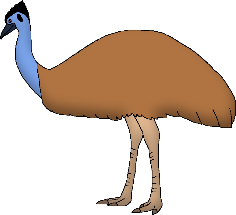 Colorful Emu Illustration