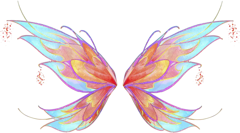 Colorful Fairy Wings Illustration